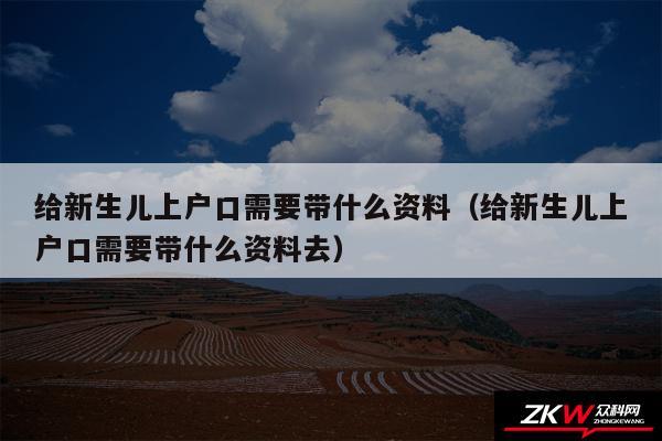 给新生儿上户口需要带什么资料以及给新生儿上户口需要带什么资料去