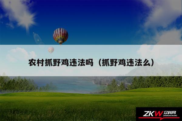 农村抓野鸡违法吗以及抓野鸡违法么