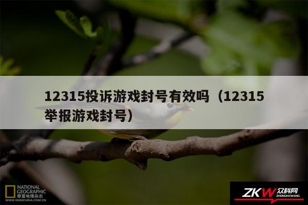 12315投诉游戏封号有效吗以及12315举报游戏封号