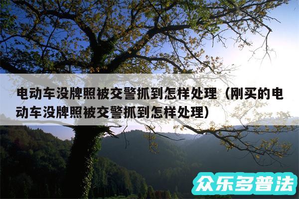 电动车没牌照被交警抓到怎样处理以及刚买的电动车没牌照被交警抓到怎样处理