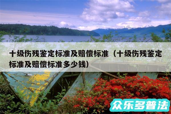 十级伤残鉴定标准及赔偿标准以及十级伤残鉴定标准及赔偿标准多少钱