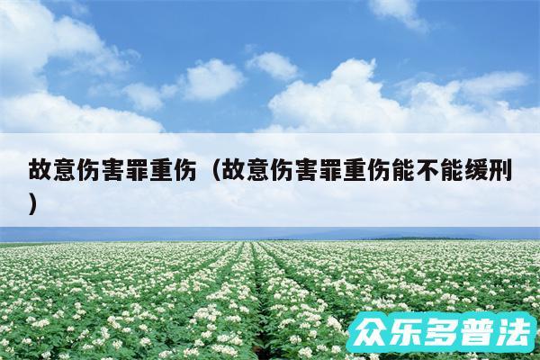 故意伤害罪重伤以及故意伤害罪重伤能不能缓刑