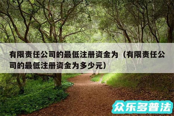 有限责任公司的最低注册资金为以及有限责任公司的最低注册资金为多少元