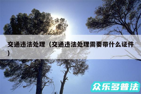 交通违法处理以及交通违法处理需要带什么证件