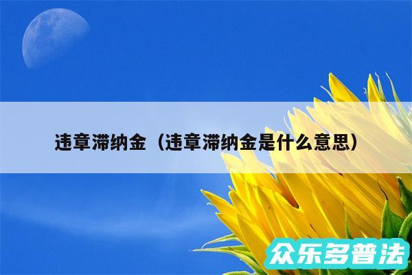 违章滞纳金以及违章滞纳金是什么意思