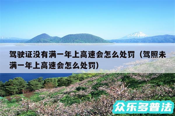 驾驶证没有满一年上高速会怎么处罚以及驾照未满一年上高速会怎么处罚