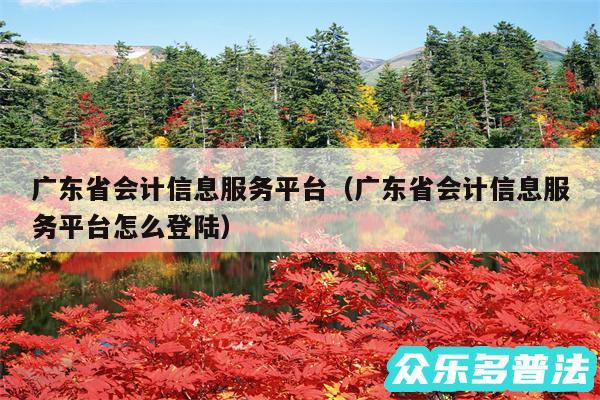 广东省会计信息服务平台以及广东省会计信息服务平台怎么登陆