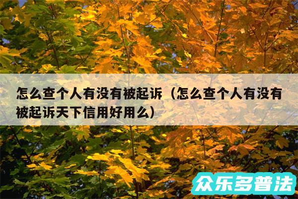 怎么查个人有没有被起诉以及怎么查个人有没有被起诉天下信用好用么