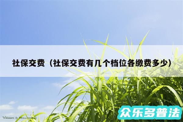 社保交费以及社保交费有几个档位各缴费多少