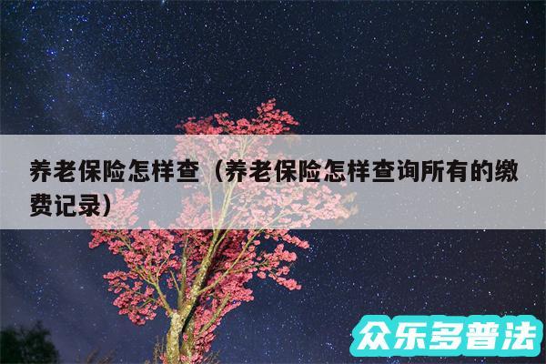 养老保险怎样查以及养老保险怎样查询所有的缴费记录