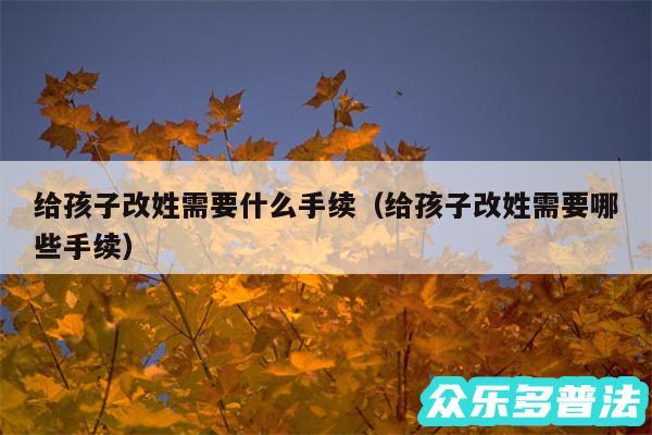 给孩子改姓需要什么手续以及给孩子改姓需要哪些手续