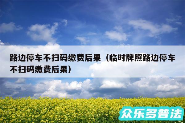 路边停车不扫码缴费后果以及临时牌照路边停车不扫码缴费后果
