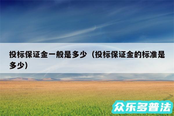 投标保证金一般是多少以及投标保证金的标准是多少