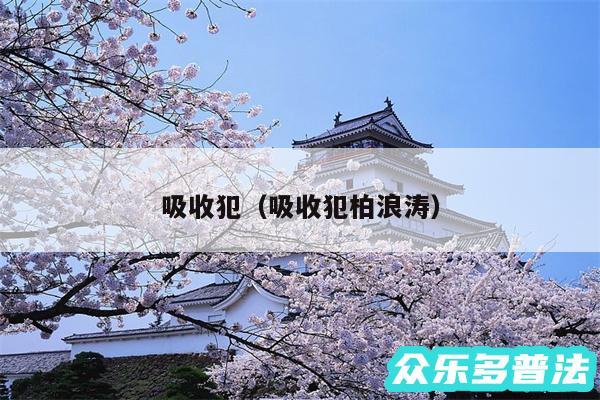 吸收犯以及吸收犯柏浪涛
