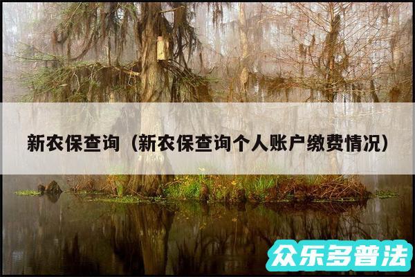 新农保查询以及新农保查询个人账户缴费情况