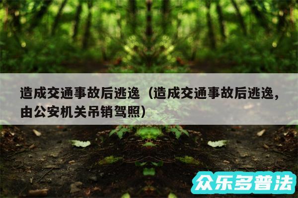 造成交通事故后逃逸以及造成交通事故后逃逸,由公安机关吊销驾照