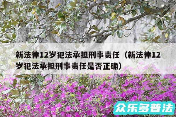 新法律12岁犯法承担刑事责任以及新法律12岁犯法承担刑事责任是否正确