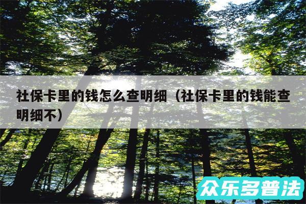 社保卡里的钱怎么查明细以及社保卡里的钱能查明细不