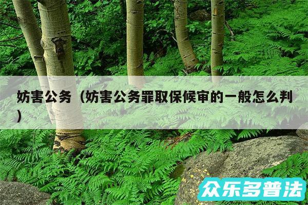 妨害公务以及妨害公务罪取保候审的一般怎么判