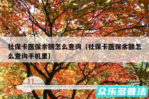 社保卡医保余额怎么查询以及社保卡医保余额怎么查询手机里