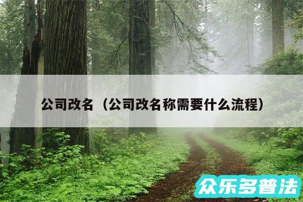 公司改名以及公司改名称需要什么流程