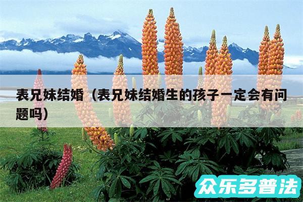 表兄妹结婚以及表兄妹结婚生的孩子一定会有问题吗