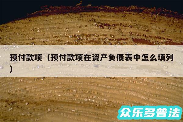 预付款项以及预付款项在资产负债表中怎么填列