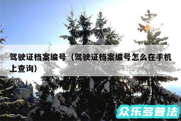 驾驶证档案编号以及驾驶证档案编号怎么在手机上查询