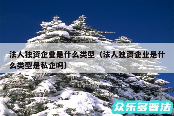 法人独资企业是什么类型以及法人独资企业是什么类型是私企吗