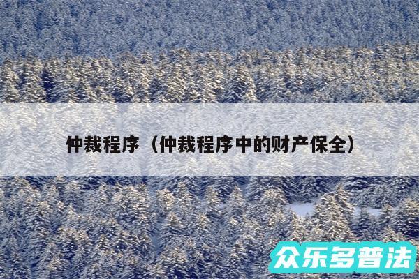 仲裁程序以及仲裁程序中的财产保全