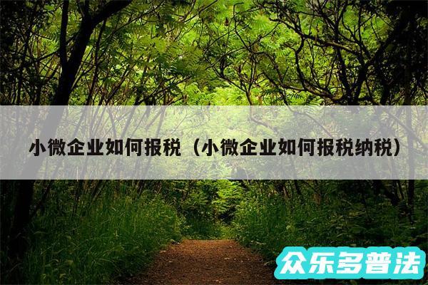 小微企业如何报税以及小微企业如何报税纳税