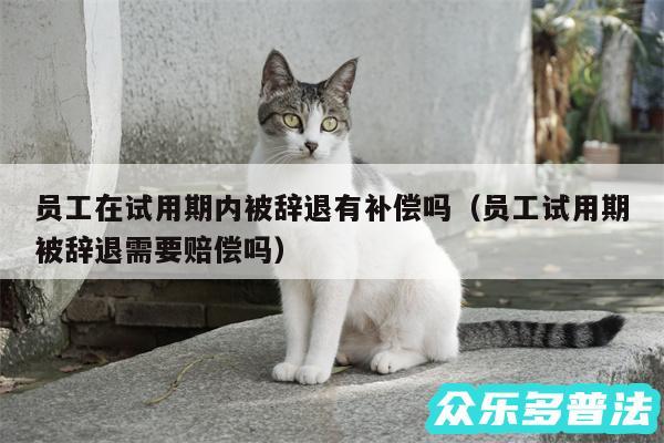 员工在试用期内被辞退有补偿吗以及员工试用期被辞退需要赔偿吗