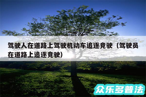 驾驶人在道路上驾驶机动车追逐竞驶以及驾驶员在道路上追逐竞驶