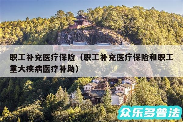 职工补充医疗保险以及职工补充医疗保险和职工重大疾病医疗补助