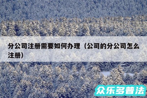 分公司注册需要如何办理以及公司的分公司怎么注册