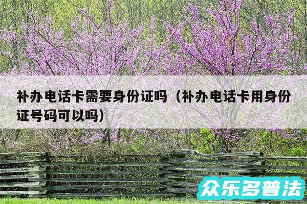 补办电话卡需要身份证吗以及补办电话卡用身份证号码可以吗