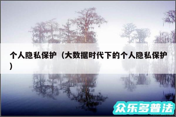 个人隐私保护以及大数据时代下的个人隐私保护