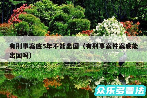 有刑事案底5年不能出国以及有刑事案件案底能出国吗