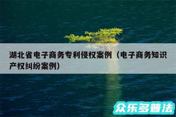 湖北省电子商务专利侵权案例以及电子商务知识产权纠纷案例