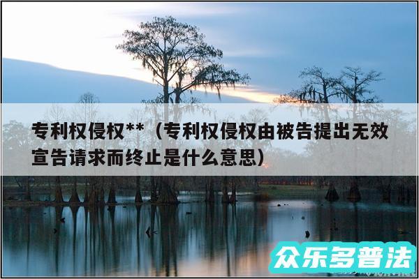 专利权侵权**以及专利权侵权由被告提出无效宣告请求而终止是什么意思