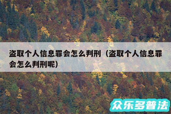 盗取个人信息罪会怎么判刑以及盗取个人信息罪会怎么判刑呢