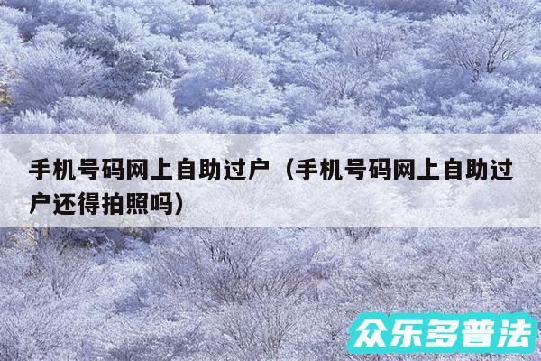 手机号码网上自助过户以及手机号码网上自助过户还得拍照吗