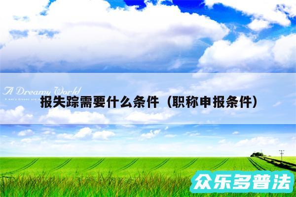 报失踪需要什么条件以及职称申报条件