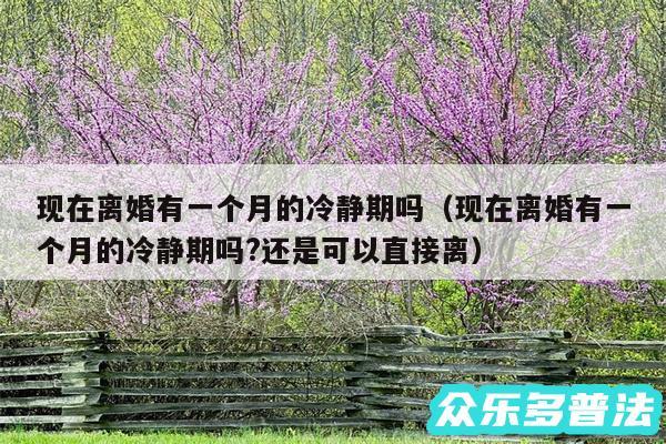 现在离婚有一个月的冷静期吗以及现在离婚有一个月的冷静期吗?还是可以直接离