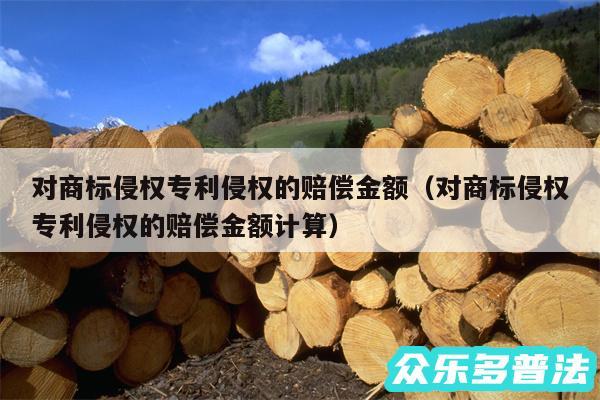 对商标侵权专利侵权的赔偿金额以及对商标侵权专利侵权的赔偿金额计算