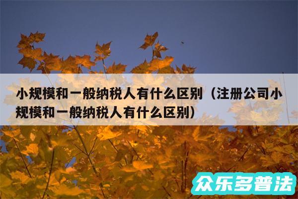 小规模和一般纳税人有什么区别以及注册公司小规模和一般纳税人有什么区别