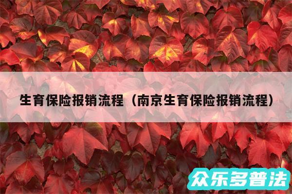 生育保险报销流程以及南京生育保险报销流程