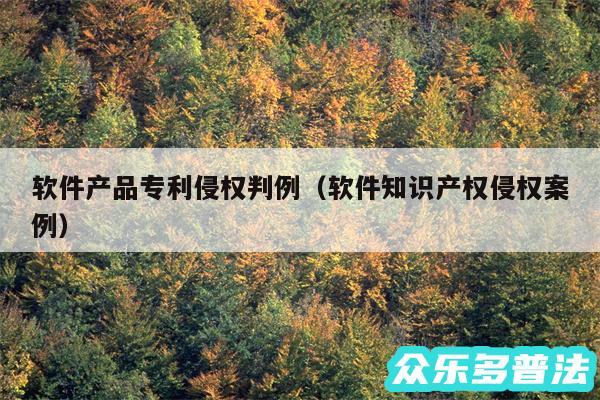 软件产品专利侵权判例以及软件知识产权侵权案例