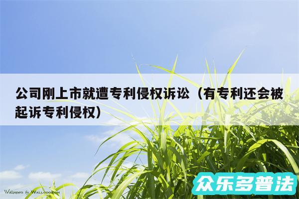 公司刚上市就遭专利侵权诉讼以及有专利还会被起诉专利侵权