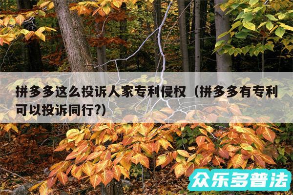 拼多多这么投诉人家专利侵权以及拼多多有专利可以投诉同行?